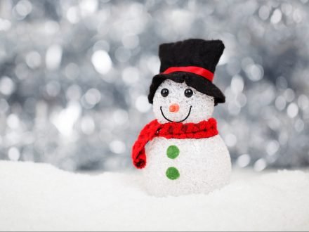 54875000012994004_zc_v34_cold_snow_holiday_winter_40541